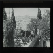 Böhl glass slide 62./2053